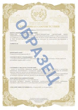 Образец Сертификат СТО 01.064.00220722.2-2020 Юбилейный Сертификат СТО 01.064.00220722.2-2020 